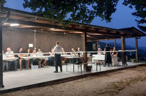 degustazione vino 2026